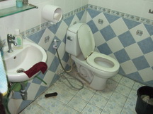 Thailand toilets same as Australia.